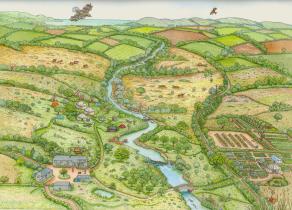 The Rewilding Collective